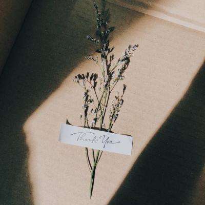 可以上下分捕鱼app