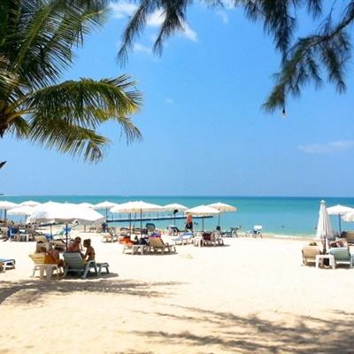 一肖三码下载手机版