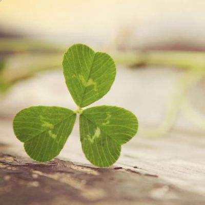 可以上下分捕鱼app