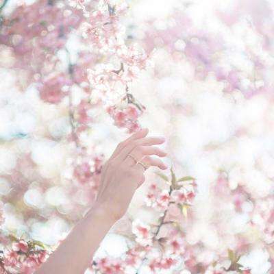 ayx在线登录入口app下载