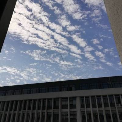 半岛官方网站下载